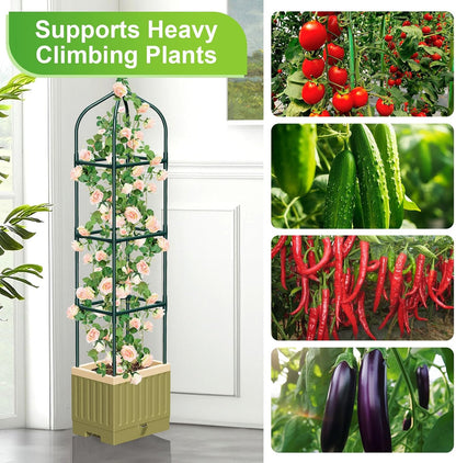 Self-Watering Tomato Planter with 71In Trellis
