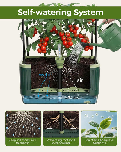 Self-Watering Planter Box with Climbing Trellis