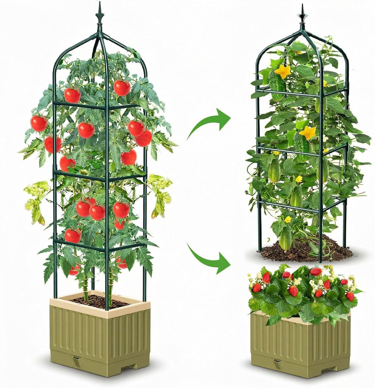 Self-Watering Tomato Planter with 71In Trellis