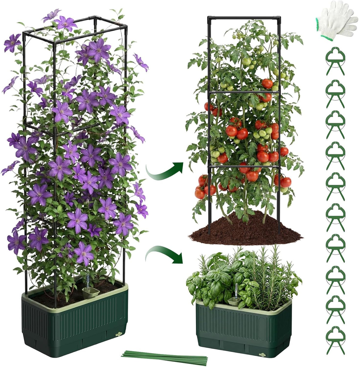 Self-Watering Planter Box with Climbing Trellis
