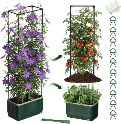 Self-Watering Planter Box with Climbing Trellis
