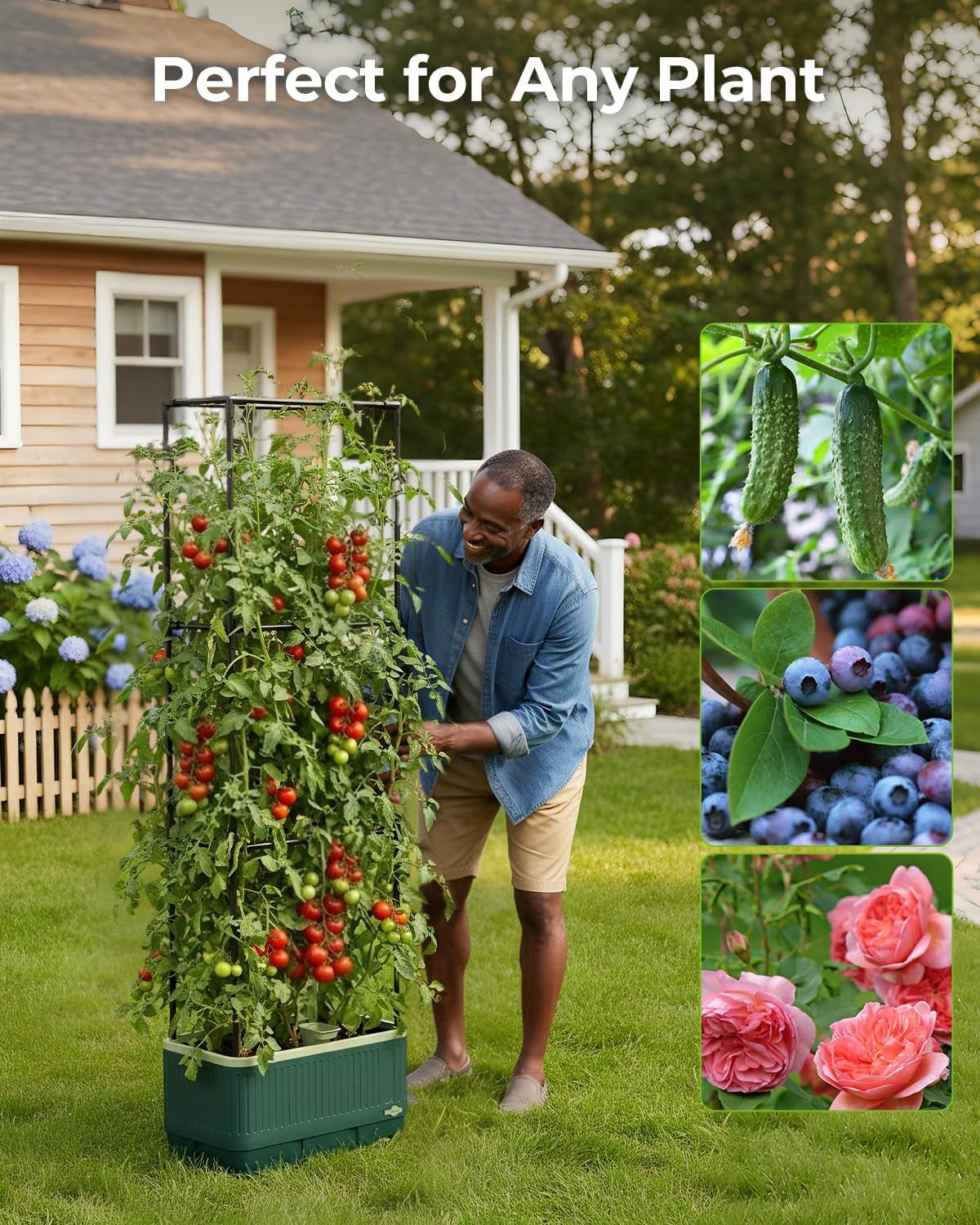 Self-Watering Planter Box with Climbing Trellis