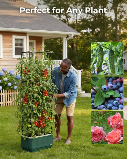 Self-Watering Planter Box with Climbing Trellis