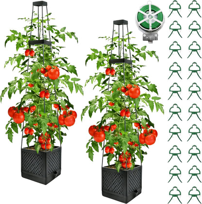 Raised Garden Planter Boxes with Trellis - 2 Pack