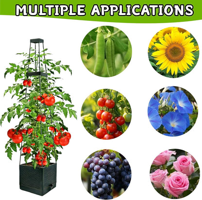 Raised Garden Planter Boxes with Trellis - 2 Pack