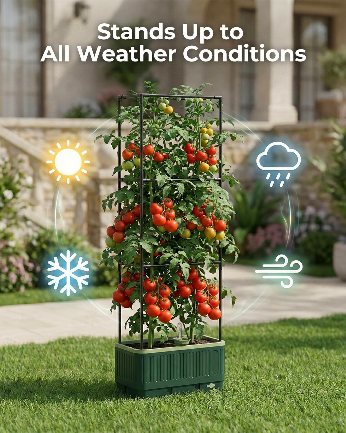 Self-Watering Planter Box with Climbing Trellis