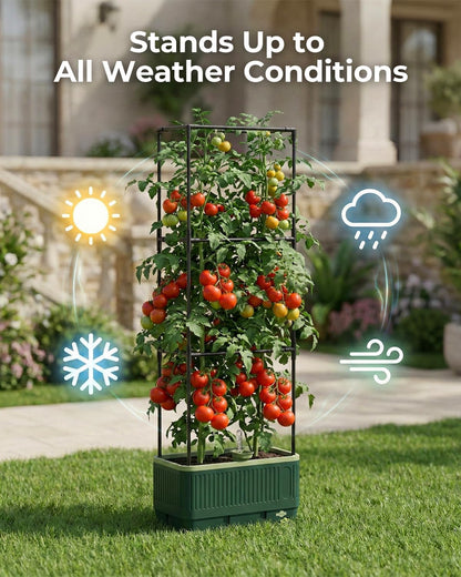 Self-Watering Planter Box with Climbing Trellis