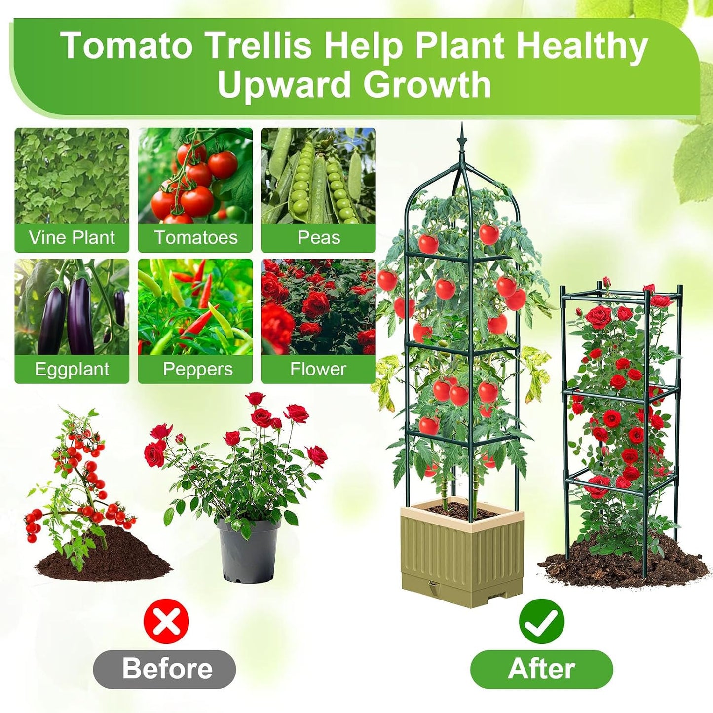 Self-Watering Tomato Planter with 71In Trellis