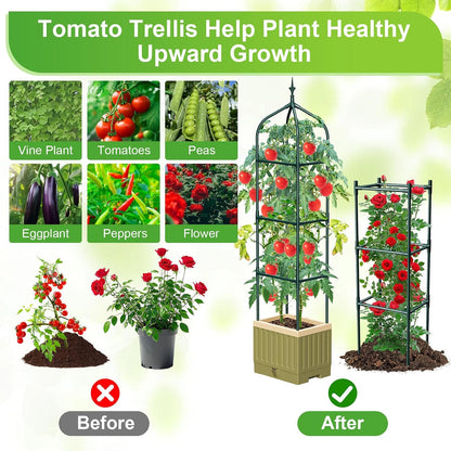 Self-Watering Tomato Planter with 71In Trellis