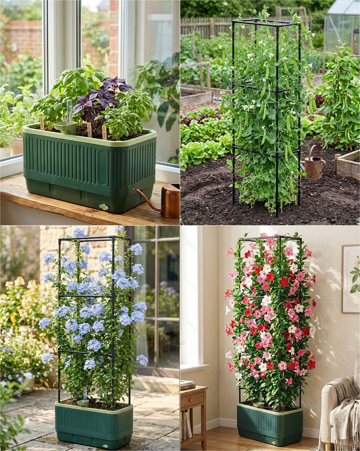 Self-Watering Planter Box with Climbing Trellis