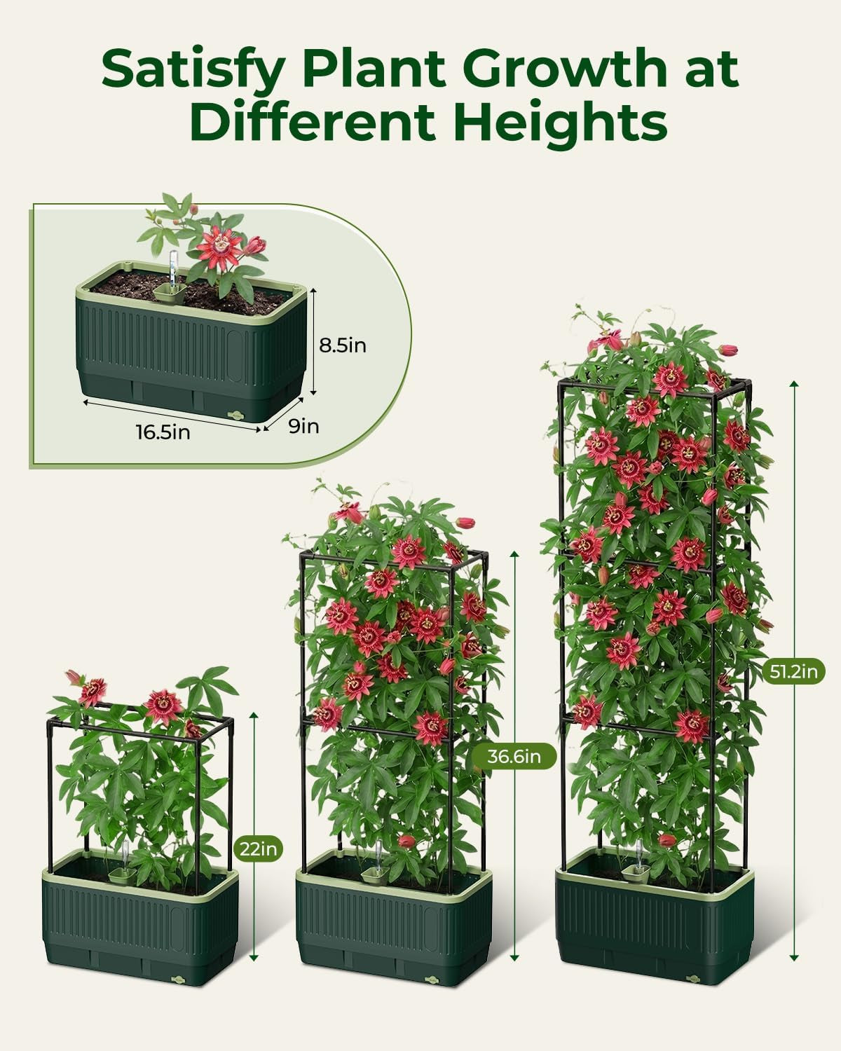Self-Watering Planter Box with Climbing Trellis