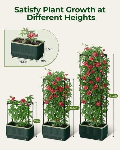 Self-Watering Planter Box with Climbing Trellis
